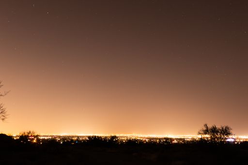 The skyline of Phoenix with cactus and hill silhouettes - perfect for wallpaper and background