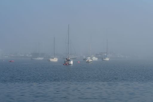 Sailboats anchored in a misty harbor, creating a serene and tranquil maritime scene.