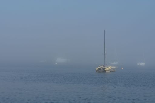 A serene marine landscape of Victoria, BC enveloped in dense coastal fog