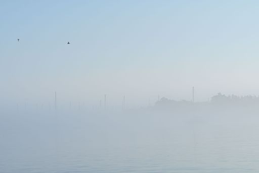 A serene foggy morning over a calm lake with birds flying in a clear sky.