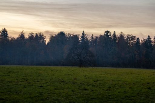 A landscape of a field surrounded by a forest under the sunlight and a cloudy sky in the countryside
