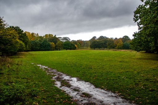 A beautiful view of the park with trees on a cloudy day
