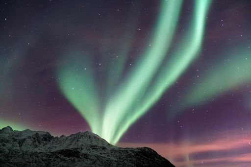 The beautiful Aurora Borealis green lights over a snowy mountain in Kvaloya, Arctic region, Norway