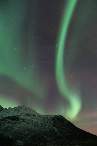 A night starry sky with Aurora Borealis lights over snowy mountain in Kvaloya, Arctic region, Norway