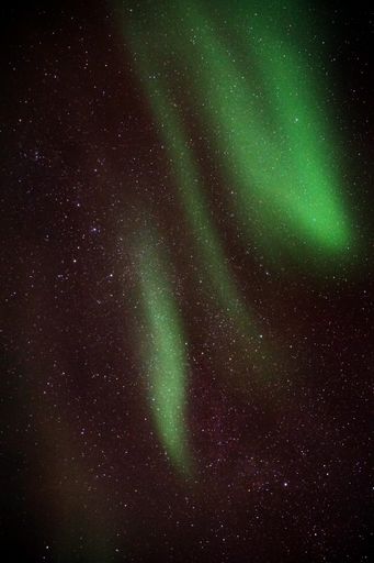 A breathtaking view of Aurora Borealis in the starry sky in Kvaloya, Arctic region in Norway