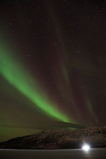 The beautiful Aurora Borealis green lights over a snowy mountain in Kvaloya, Arctic region, Norway