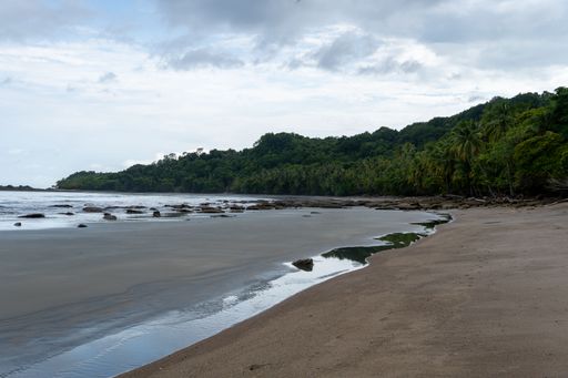 A serene beach with lush greenery and cloudy sky, showcasing a tranquil coastal scene.