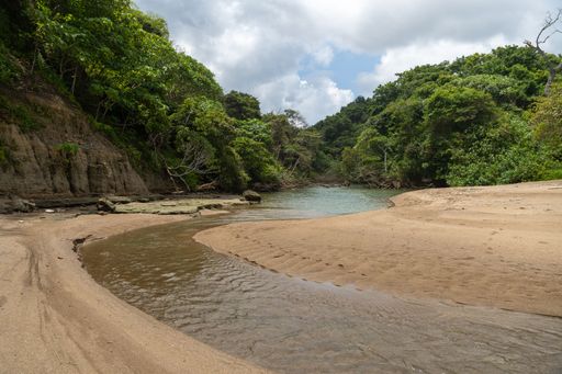 A serene tropical beach with lush greenery and a calm river meeting the ocean under a partly cloudy sky.