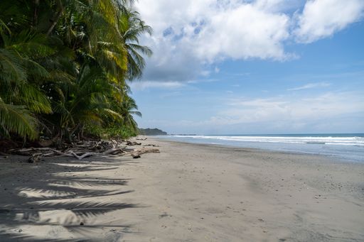 Tropical beach with palm trees casting shadows on the sand, under a partly cloudy sky and gentle waves in the distance.
