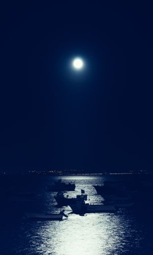 A vertical view of fishing boats in the harbour at night under the moonlight