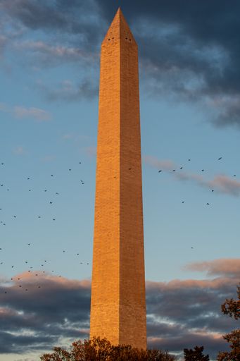 Washington Monument glowing orange at dusk with birds flying in front and dramatic sky