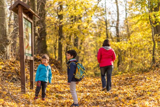 A two boys and woman standing by a information board in the Podbialowa forest in autumn, Poznan, Poland