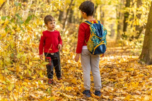 A two young boys standing on a footpath covered with leaves between trees in the Podbialowa forest during the autumn season, Poznan, Poland