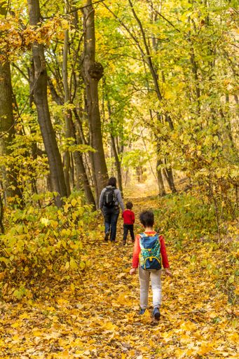 A two boys and a woman walking on a footpath next to trees with yellow leaves in the Podbialowa forest in autumn season, Poznan, Poland