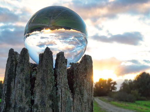 A glass ball on a rotten trunk reflecting a landscape and the cloudy sky during sunset