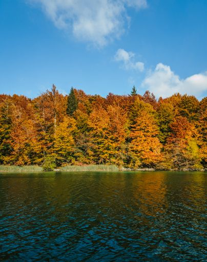 Beautiful orange trees reflected on the lake at famous Plitvice Lakes National Park in Croatia in autumn