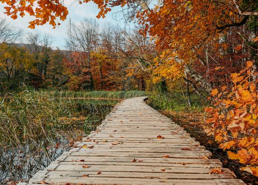 A narrow wooden footbridge over the lake at famous Plitvice Lakes National Park in Croatia in autumn