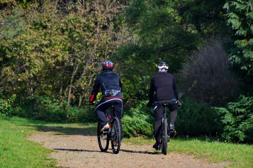 A back view of athletic men riding bikes in a forest in Novi Sad, Serbia