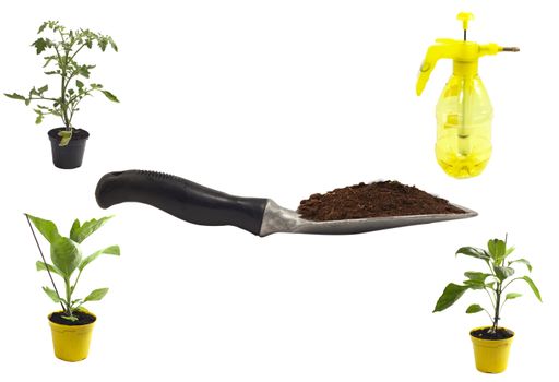 A trowel with soil on it surrounded by plants under the lights isolated on a white background