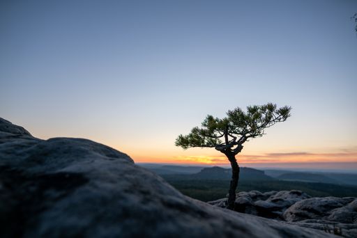 A breathtaking shot of a landscape during the sunrise under the clear sky