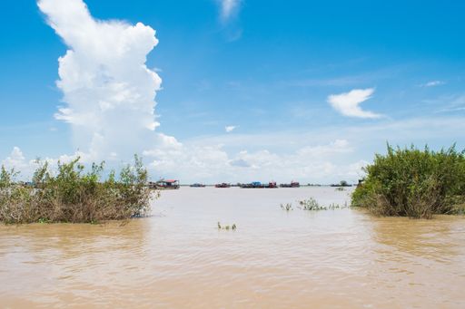 Long boats tied together and moored near river bank of Tonle Sap Lake, for tourist transport to Kampong Phluk floating village, Siem Reap, Cambodia