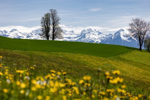 A beautiful shot of a landscape under the cloudy skies in Switzerland