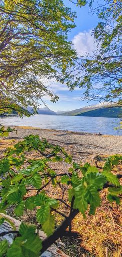 A vertical shot of a lake surrounded by the hills on a sunny day in spring