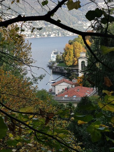 A vertical shot of a beautiful seascape with buildings and tree branches in the foreground