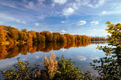 A mirror lake and its surrounding forest in the fall colors
