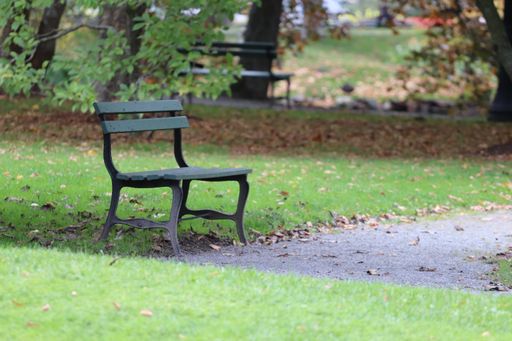 A landscape view of a bench in Halifax Public Gardens. Canada