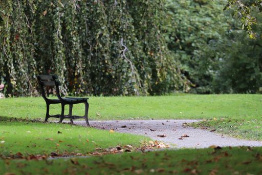 A beautiful view of an empty bench in Halifax Public Gardens. Canada