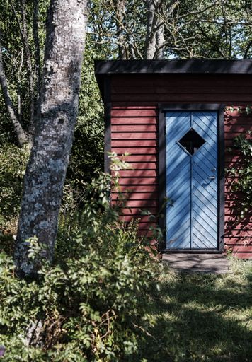A vertical shot of a blue door of a red small wooden barn next to a tree in a forest