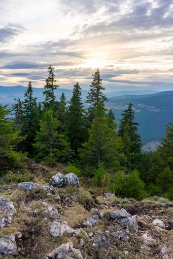A vertical image with a beautiful landscape with trees, rocks and the sun surrounded by clouds in the background