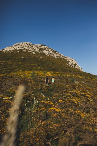 A serene landscape of two hikers walking in a meadow of a mountain