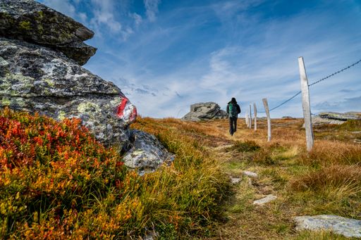 A rear view of a man walking uphill on thee autumnal field in Carinthia, Austria