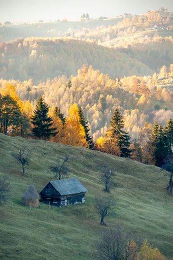 A beautiful view of the landscape with a hut and large autumn trees