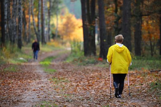 A rear view of hiker female walking in the autumn forest towards the male coming from the other side