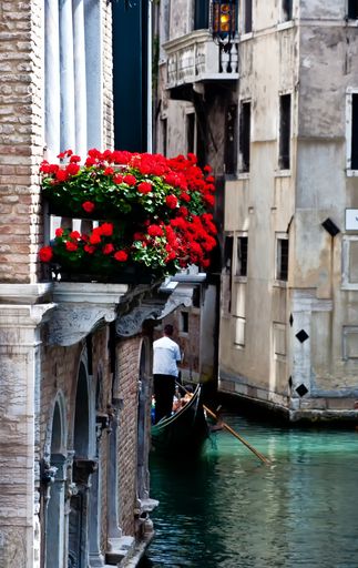 A vertical beautiful shot of an old building with red flowers in Venice, Italy