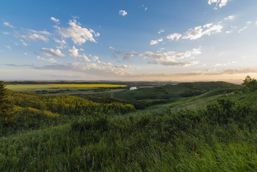 A beautiful wide landscape shot of grass fields and meadows under a clear blue and pink sky with white clouds