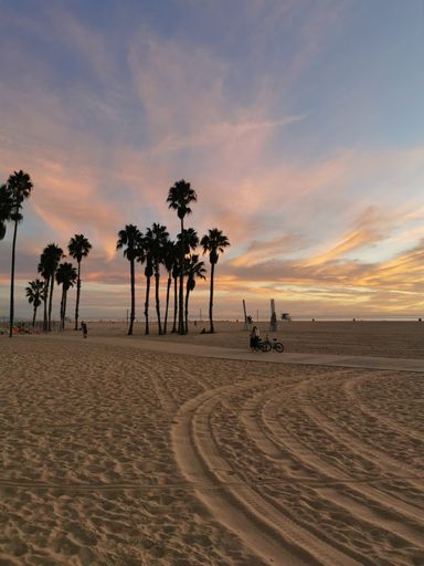 A beautiful shot of palm trees on the sandy beach of Santa Monica under a pink sky during the sunset