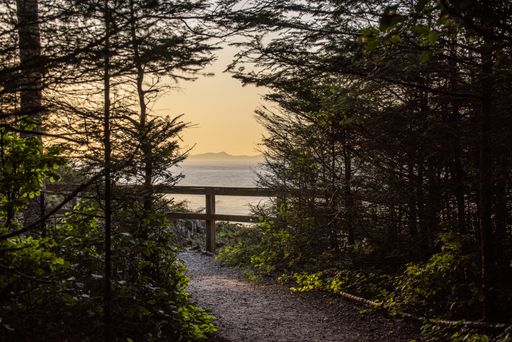 A wide shot of a narrow pathway surrounded by trees on the background of the sea under a sky during sunset
