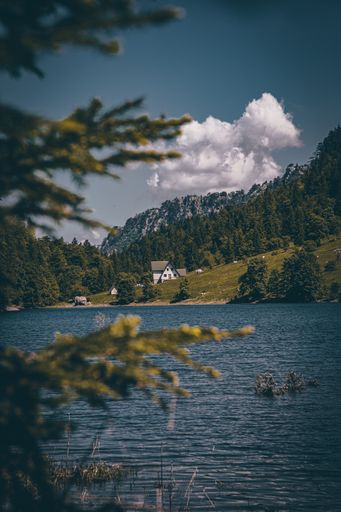 A vertical shot of a lake surrounded by forests under the sunlight in the countryside
