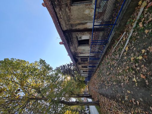 A vertical shot of a pavement covered in dried leaves surrounded by old buildings on a sunny day in autumn