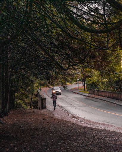 A vertical shot of a car driving on a road surrounded by greenery on a rainy day in autumn