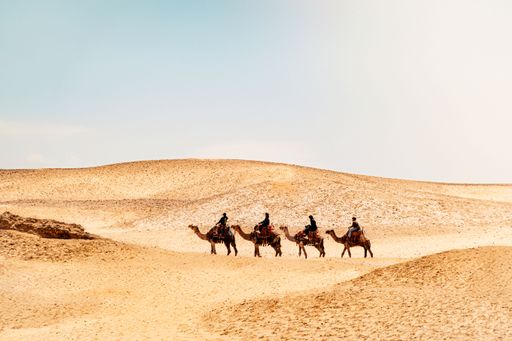 A group of people riding camels across the vast sandy dunes under a clear blue sky, showcasing the desert landscape.