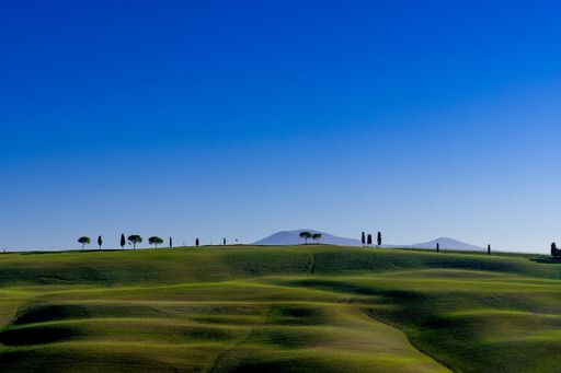 An amazing view of a green field with some trees in the end located in Tuscany, Italy