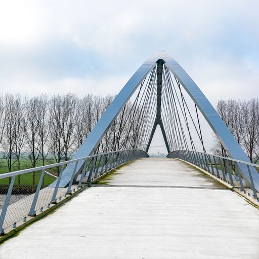 Bycatch of a late December 2019 cycling tour from Utrecht to Amsterdam