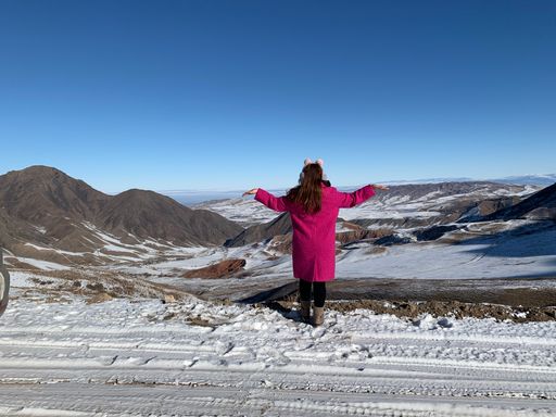 A person wearing a pink coat and looking at hills covered in the snow under a blue sky and sunlight