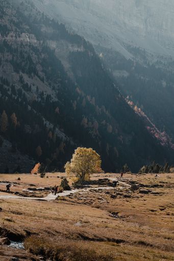 A vertical shot of trekkers walking along a river in an autumn field in front of a mountain
