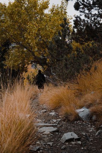 A vertical back view of a hiker walking along a route in an autumn forest